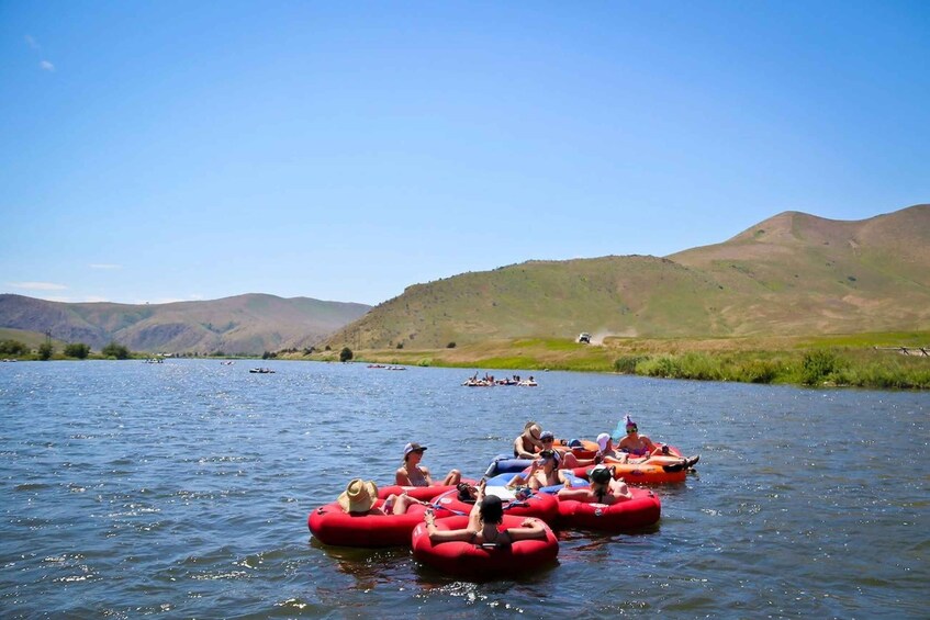 Picture 2 for Activity Bozeman: 4-5 Hour Madison River Tube Trip with Shuttle
