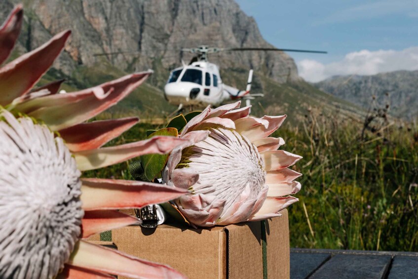 Picture 9 for Activity Cape Town: Gin & Tonic on the Mountain