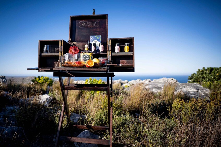 Picture 2 for Activity Cape Town: Gin & Tonic on the Mountain
