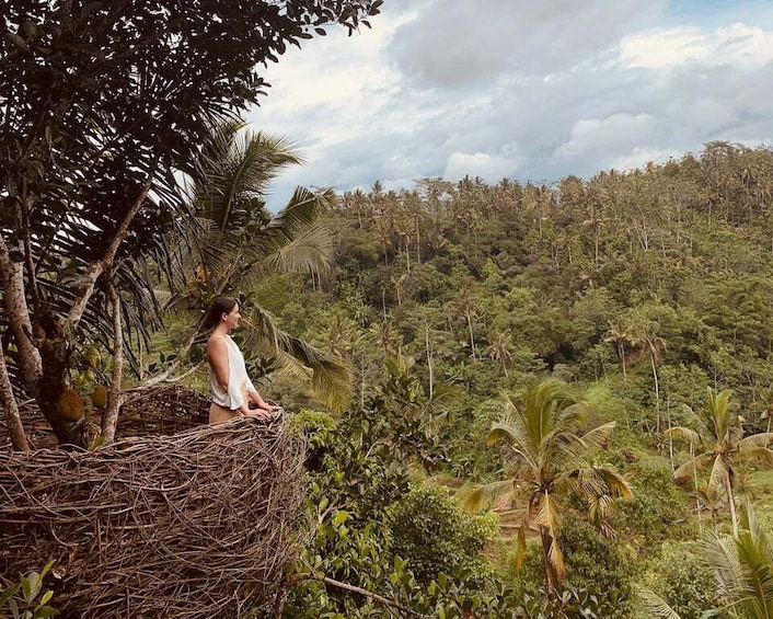 Picture 8 for Activity Bali: Swing with Falls, Rice Terrace, & Monkey Forest Option