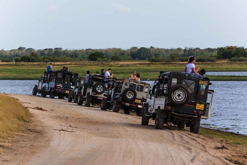Picture 11 for Activity From Negombo: Wilpattu National Park Safari Guided Day Tour