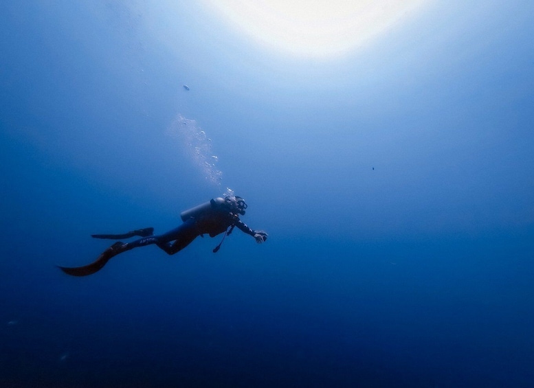 Picture 4 for Activity Scuba Diving in Colombo