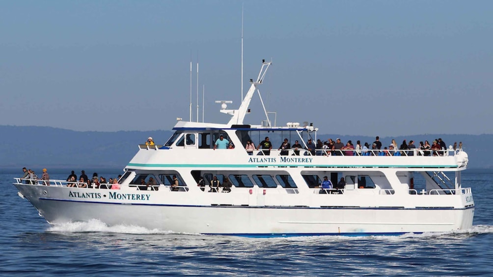Picture 5 for Activity Monterey: Whale Watching Tour with A Marine Guide