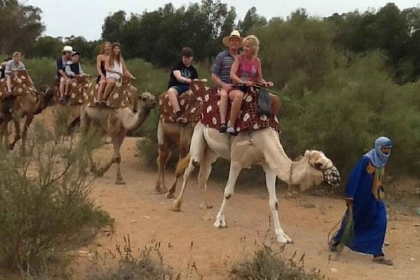 Picture 5 for Activity Agadir: Camel Riding Trip Trek with Mint Tea