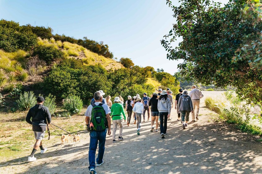 Picture 8 for Activity LA: Express Hollywood Sign Guided Walking Tour with Photos