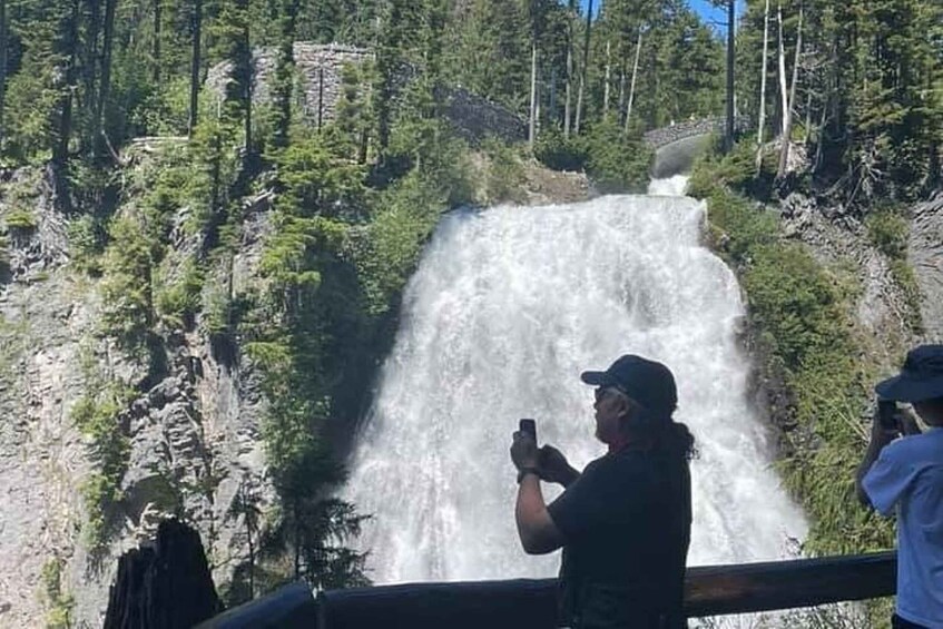 Picture 1 for Activity From Seattle: Full-Day Mt Rainier National Park Tour