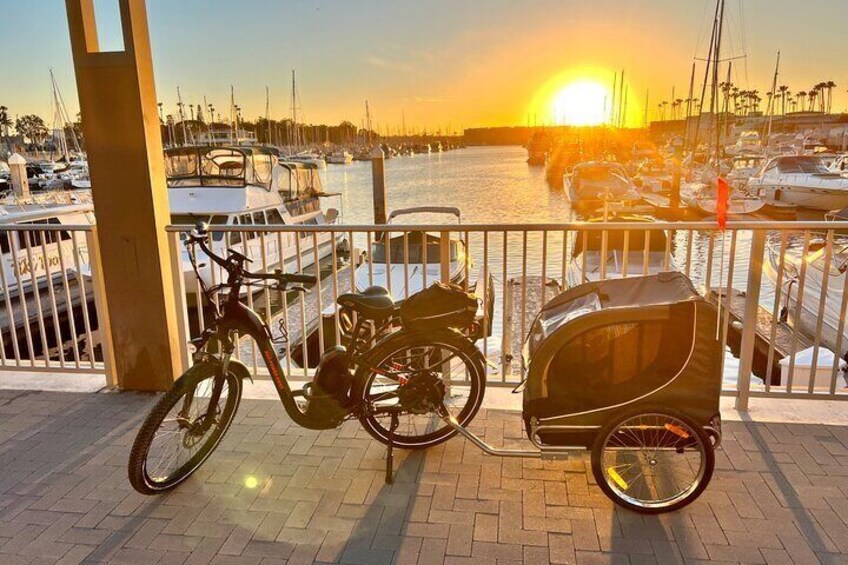 Electric Bike Rentals & Trailers 