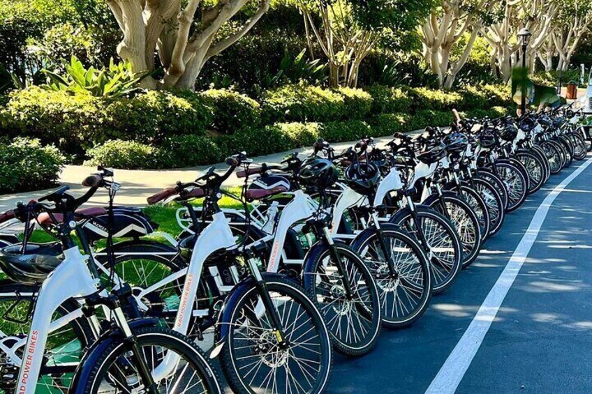 Electric Bike Fleet 