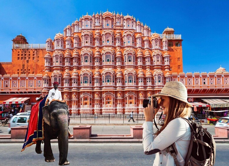Picture 2 for Activity From Delhi: 5-Day Golden Triangle & Ranthambore Tiger Safari