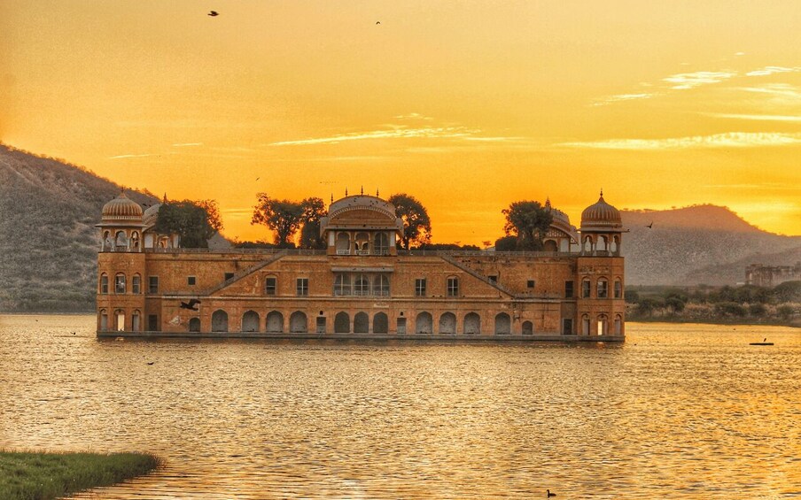 Picture 3 for Activity From Delhi: 5-Day Golden Triangle & Ranthambore Tiger Safari