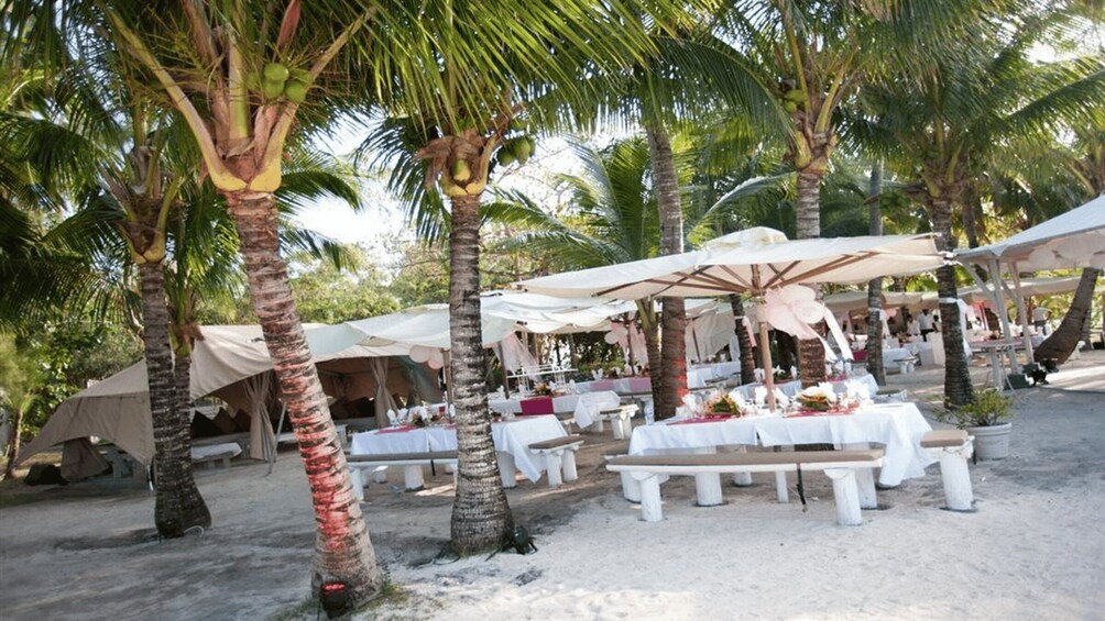 Picture 6 for Activity Ile Aux 2 Cocos fully Day All Inclusive Package