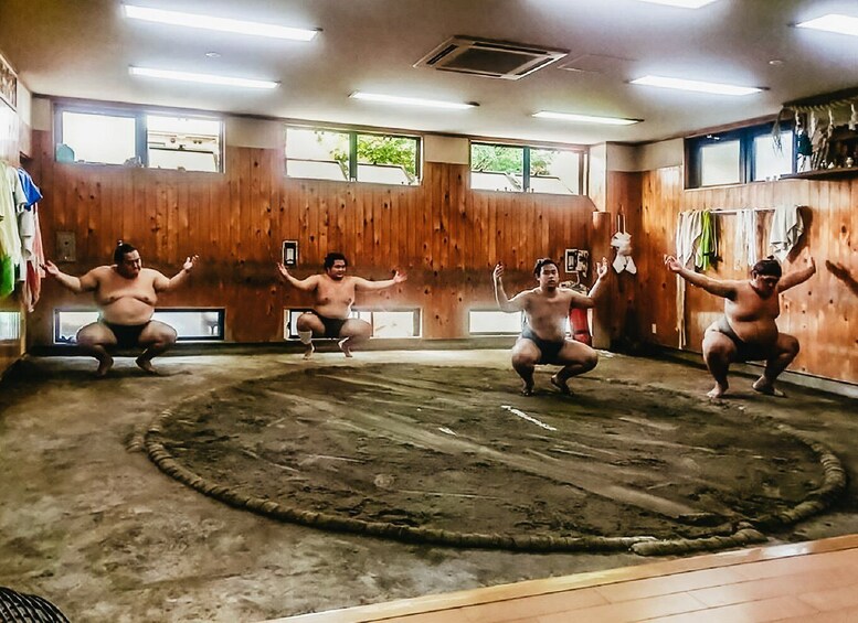 Picture 2 for Activity Tokyo: Sumo Morning Training Visit