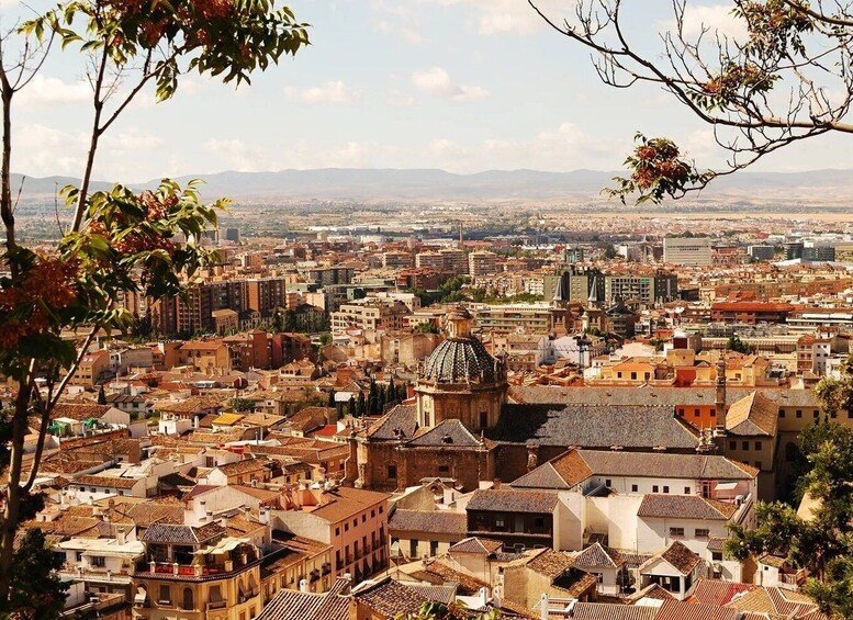 Picture 7 for Activity From Costa del Sol: Granada Day Trip Free Time 5h