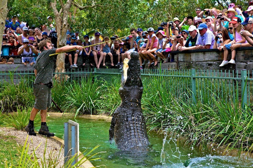 Somersby: Australian Reptile Park Day Pass - 9am to 5pm