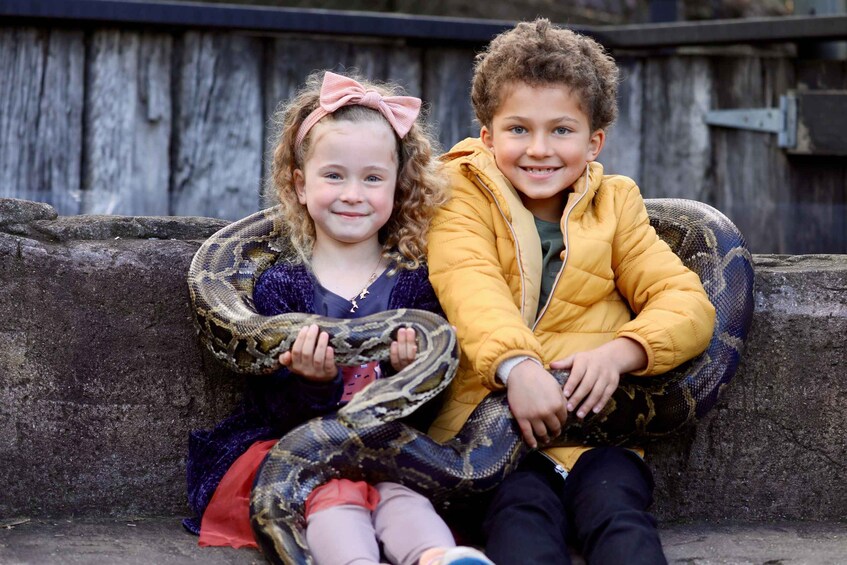 Picture 5 for Activity Somersby: Australian Reptile Park Day Pass - 9am to 5pm