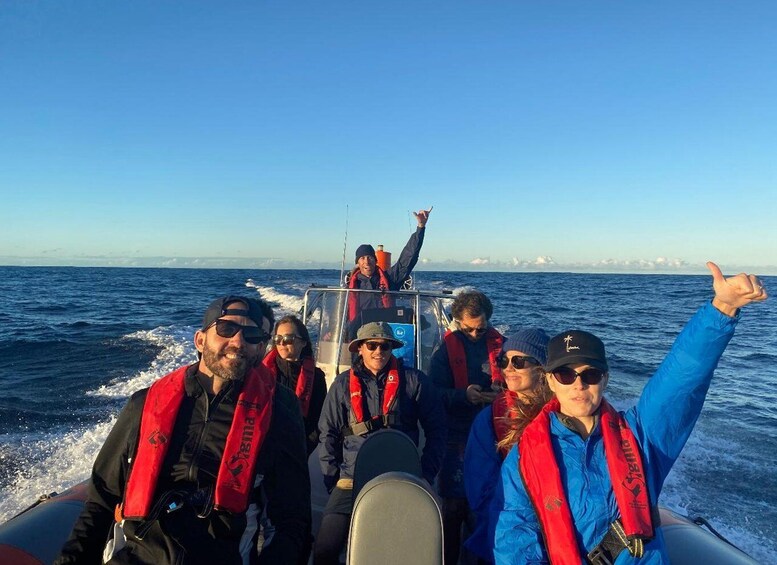 Picture 2 for Activity Gold Coast: Whale Watching