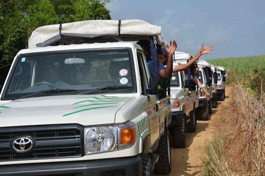 Adventure Safari