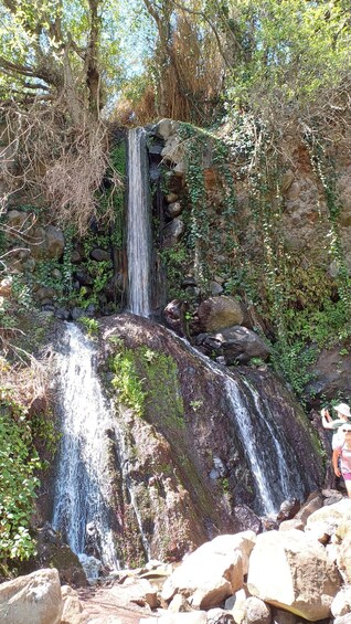 Picture 20 for Activity Maspalomas: Barranco de los Cernicalos Rainforest Hike