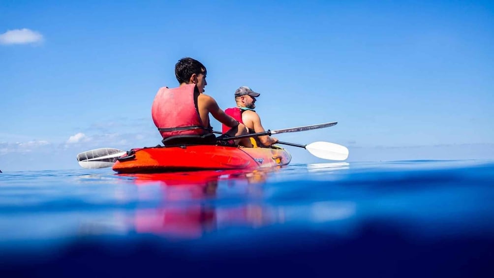 Picture 7 for Activity Discover the Island Dragonera by kayak and on foot