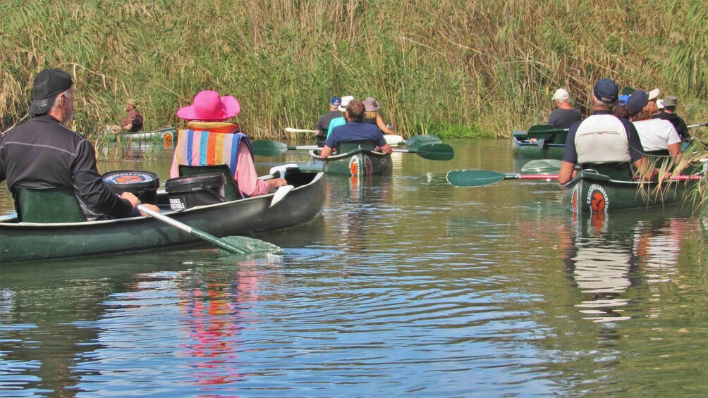 Picture 4 for Activity Addo River Safari - Guided Tour via Canoe