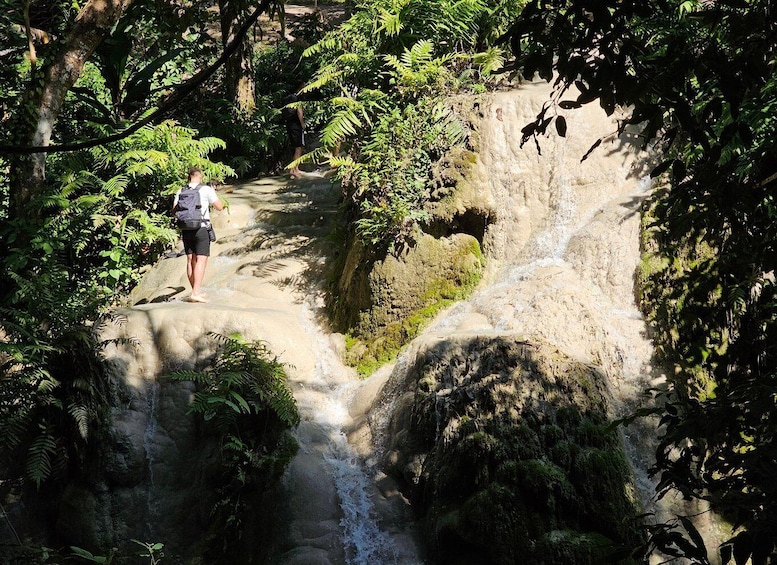 Picture 1 for Activity Chiang Mai: Sticky Waterfall Half-Day Tour & Hotel Transfers