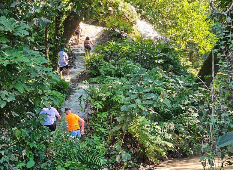 Picture 6 for Activity Chiang Mai: Sticky Waterfall Half-Day Tour & Hotel Transfers