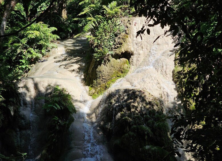 Picture 2 for Activity Chiang Mai: Sticky Waterfall Half-Day Tour & Hotel Transfers