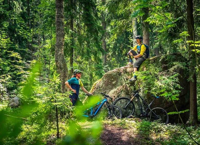 Picture 4 for Activity E-FatBike experience in small groups