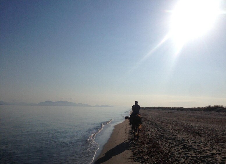 Picture 7 for Activity Kos: Horse Riding Experience on the Beach with Instructor