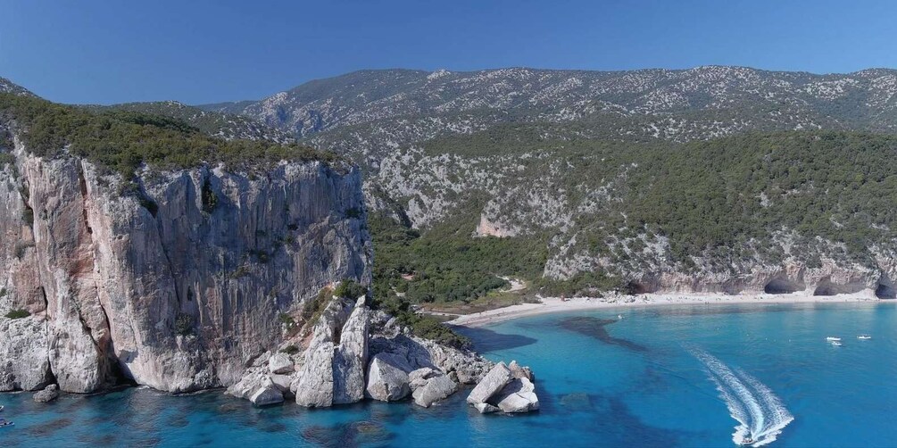 Picture 10 for Activity Cala Gonone: Guided Boat Tour to Cala Luna Beach