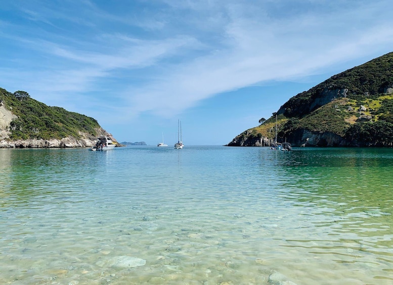 Picture 4 for Activity Waiheke Island: Gulf Marine Park Sailing Adventure & Lunch