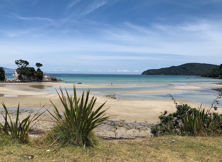 Picture 7 for Activity Waiheke Island: Gulf Marine Park Sailing Adventure & Lunch