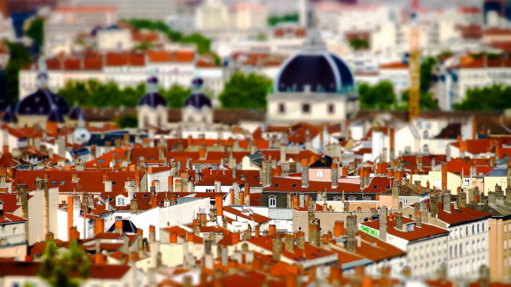 Picture 5 for Activity Lyon: UNESCO Districts Private Guided Walking Tour