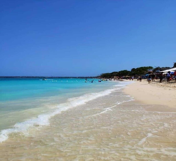 Picture 6 for Activity Cartagena:Daytour Aviary with entrance + Playa blanca by bus