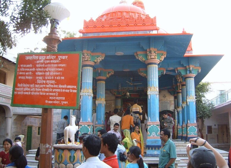 Picture 2 for Activity Pushkar Day Trip with Camel Safari From Jaipur By Car.