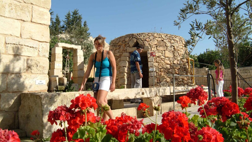 Picture 20 for Activity Malta: Prehistoric Temples and Highlights of the South