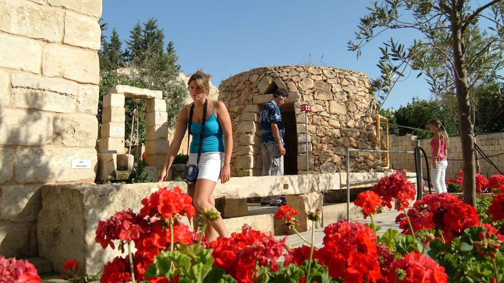 Picture 20 for Activity Malta: Prehistoric Temples and Highlights of the South