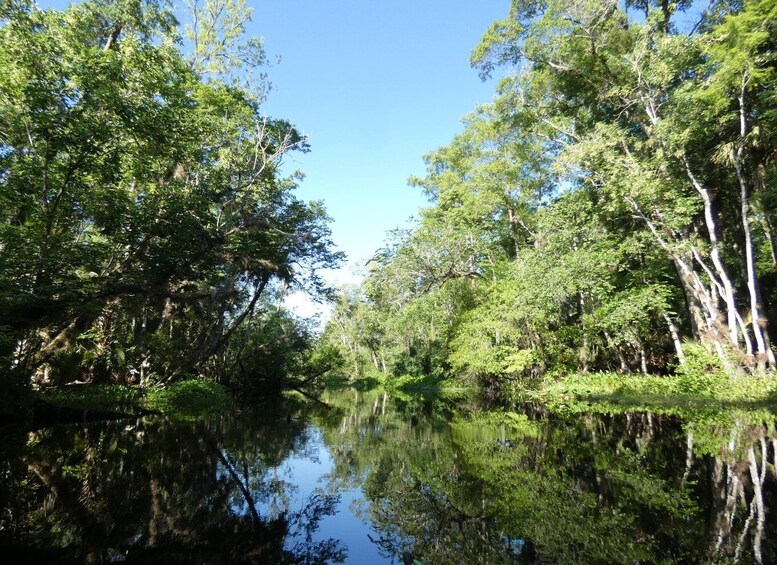 Picture 17 for Activity Blackwater Creek: Exclusive Nature Escape Kayak Adventure