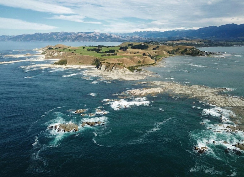 Picture 3 for Activity From Christchurch: Kaikoura Whale Watching Day Tour