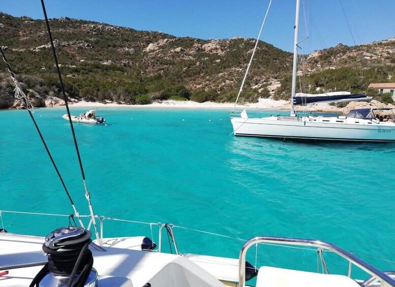Picture 11 for Activity Cannigione: Catamaran daily tour to La Maddalena Archipelago