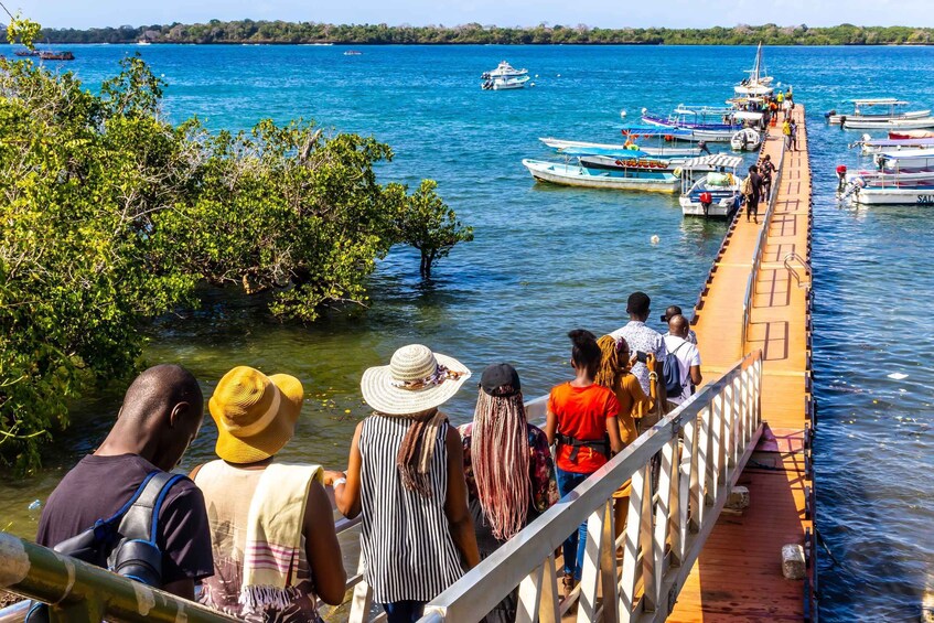 Picture 4 for Activity Wasini Island: Dolphin Spotting & Snorkel at Kisite Mpunguti
