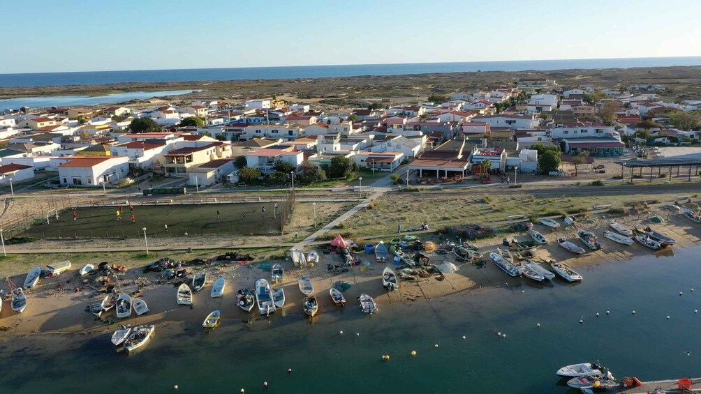 Picture 8 for Activity Olhão: Formosa Rota Da Ria
