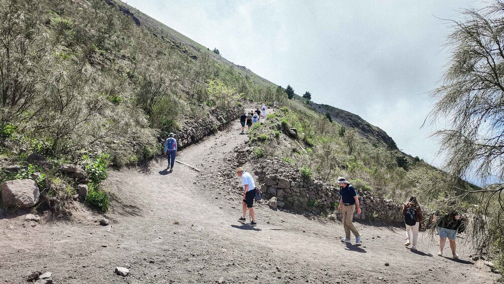 Picture 11 for Activity Mount Vesuvius: Skip-the-Line Ticket and Audio Guide