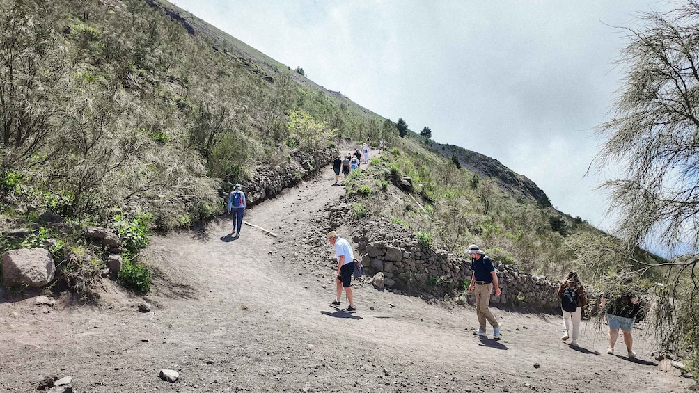 Picture 11 for Activity Mount Vesuvius: Skip-the-Line Ticket and Audio Guide