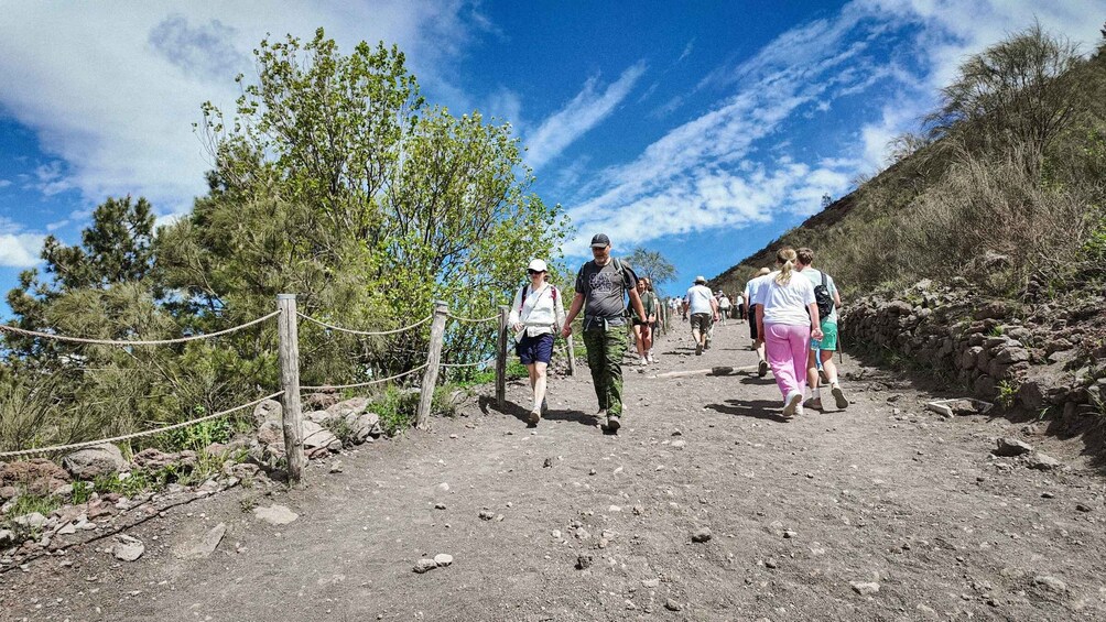 Picture 10 for Activity Mount Vesuvius: Skip-the-Line Ticket and Audio Guide
