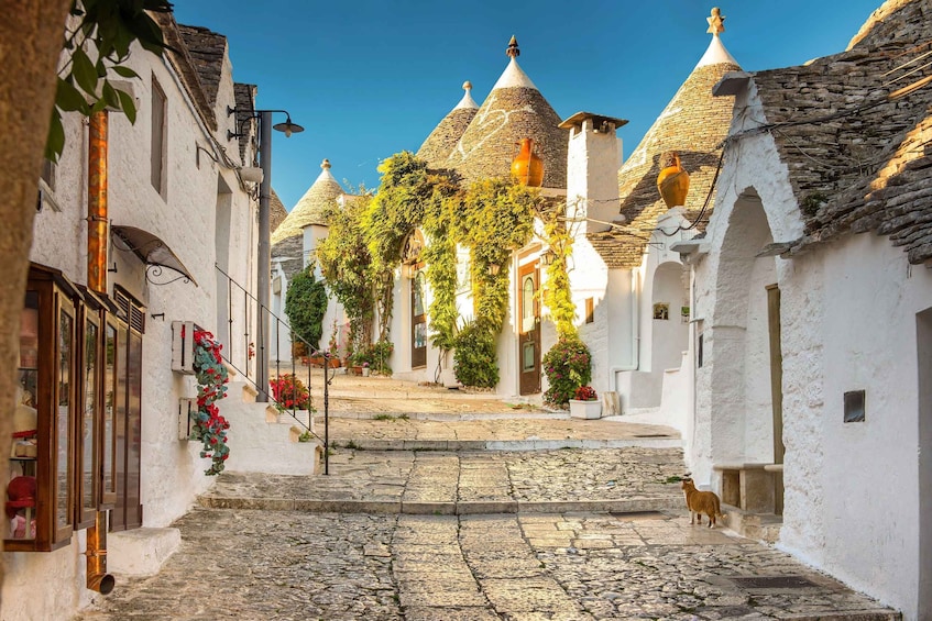 From Polignano a Mare: Alberobello Guided Tour