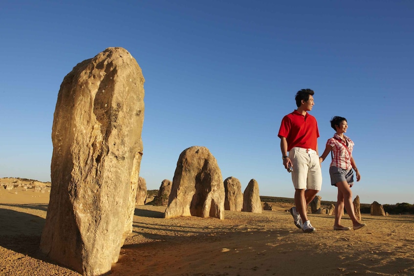 Picture 2 for Activity From Perth: Pinnacles Desert, Yanchep & Swan Valley Day Tour