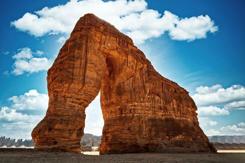 Picture 4 for Activity AlUla: Hegra, Dadan, and Ikmah Highlights Tour