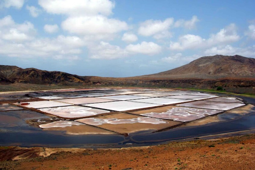 Picture 9 for Activity Salt Pans & Lemon Sharks Experience