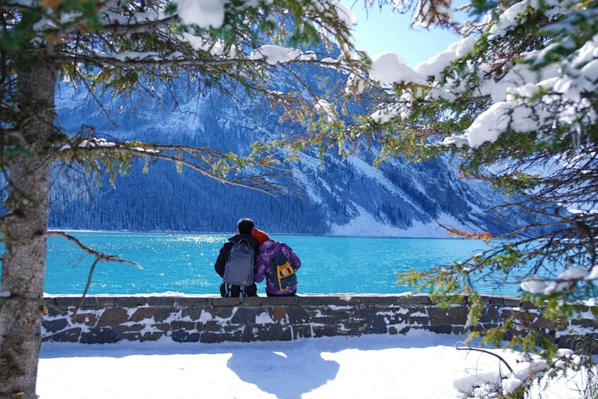 Picture 3 for Activity Moraine Lake: Lake Louise & Yoho & Moraine Lake Day Tour